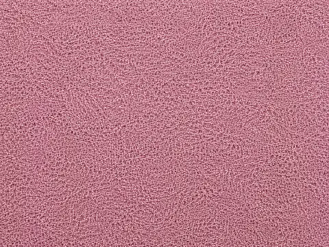 Pink carpet flooring colour