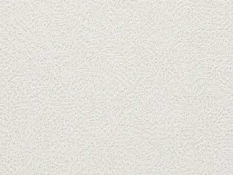 White carpet flooring colour