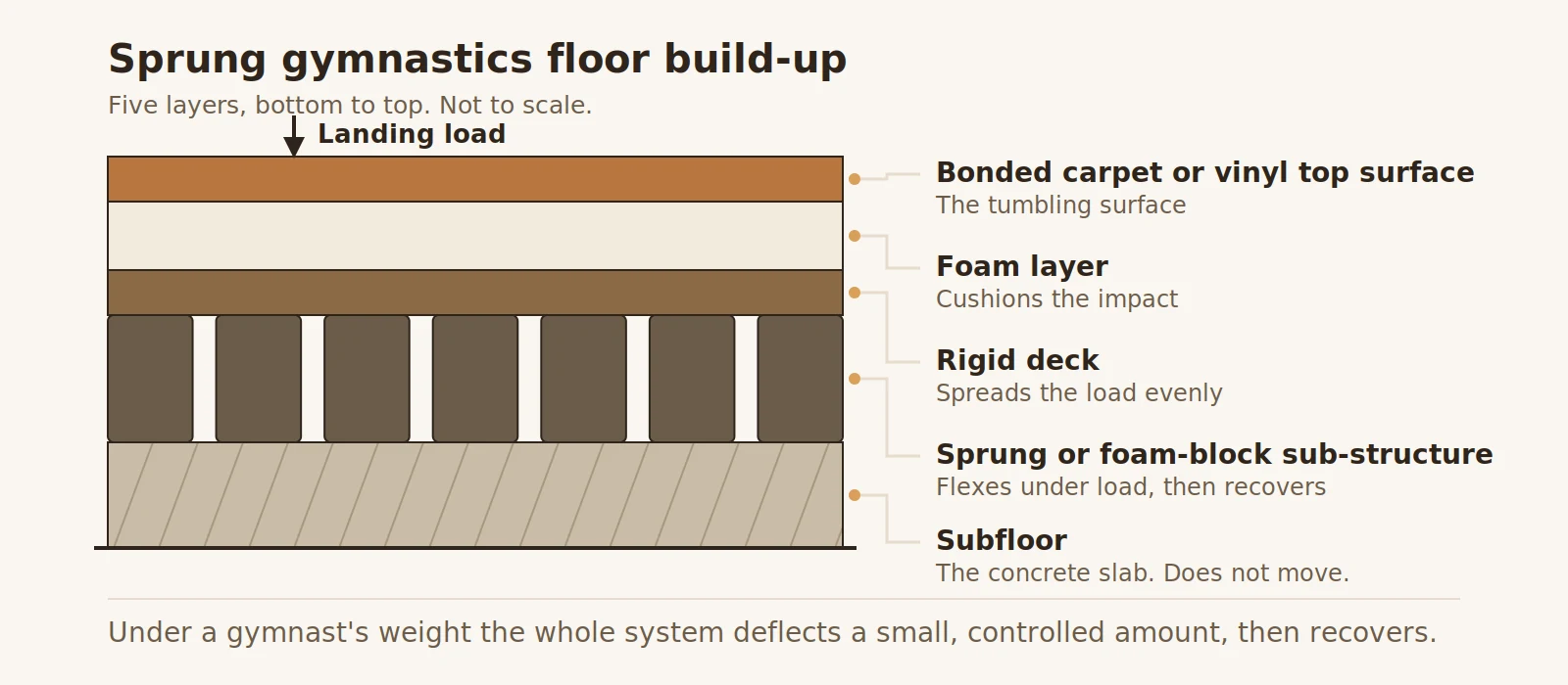 Cross-section diagram of a sprung gymnastics floor build-up, showing the concrete subfloor, sprung or foam-block sub-structure, rigid deck, foam layer and bonded carpet or vinyl top surface