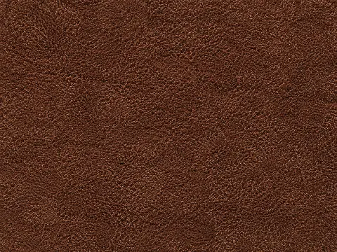 Warm brown earth-tone area rug