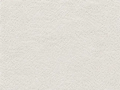 Soft off-white ivory area rug
